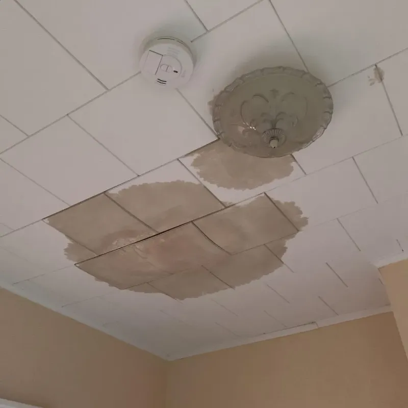 Ceiling Water Damage Repair in Cadiz, OH